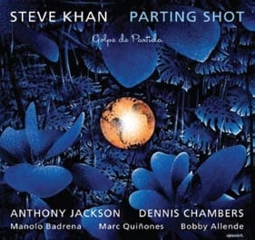 Steve Khan: Parting Shot
