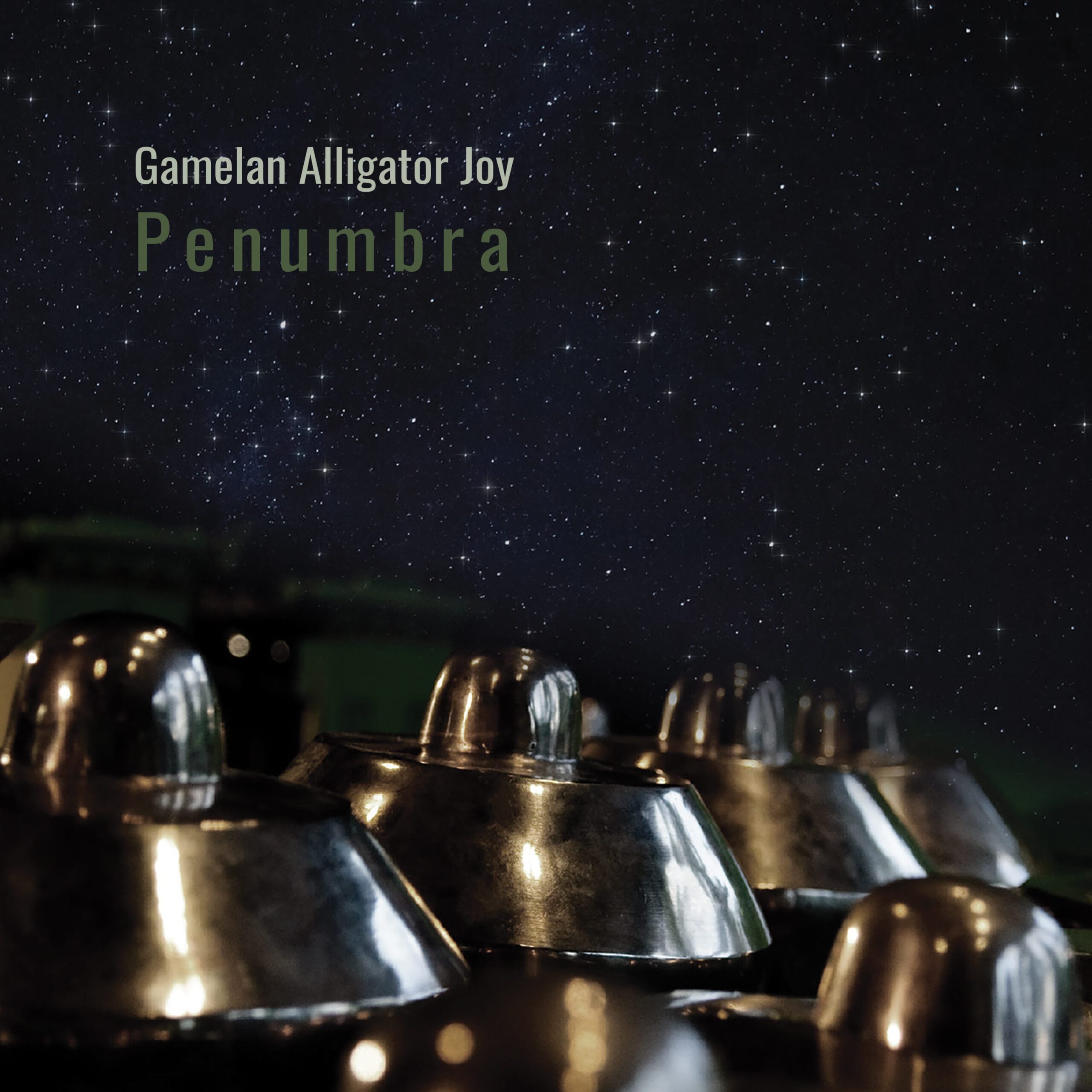 Penumbra Gamelan Alligator Joy