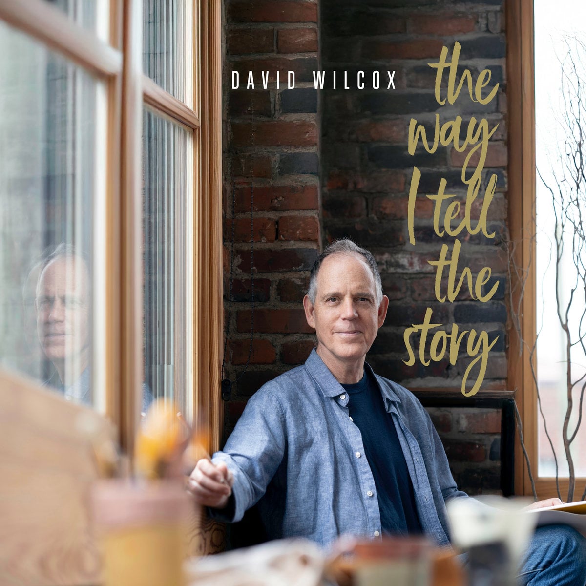 David Wilcox: The Way I Tell the Story